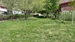 Следует ли по-прежнему обязывать владельцев сдаваемых в аренду домов в штате Юта поливать газоны,...