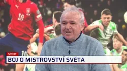 Vízek: Souček to nekousal dobře, byl dotčený. Krejčí dokázal, že má pásku zaslouženě