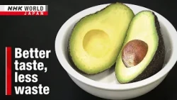 Students take up challenge predicting avocado ripenessーNHK WORLD-JAPAN NEWS