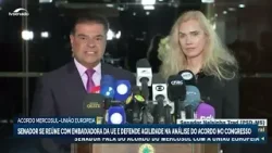 Senador se reúne com embaixadora da UE e defende agilidade na análise do acordo Mercosul-UE