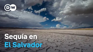 El Niño dries up El Salvador's farmlands