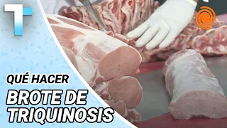 TRICHINOSIS OUTBREAK in Córdoba: 30 confirmed cases, symptoms, and how to prevent it