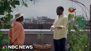 Longtime New Yorker cultivates rooftop garden and community
