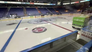 Clash of the Kingdoms: Victoria Royals set for historic pre-season series with London Knights