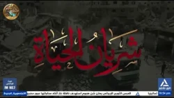 شريان الحياة .. اللجنة المصرية في قطاع غزة