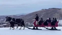 Low snow year tests this Park City staple, but sleigh ride tradition endures