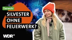 Drohnen statt Böller? Warum Alternativen sinnvoll sein können | neuneinhalb | WDR Drohnen statt Böller? Warum Alternativen sinnvoll sein können | neuneinhalb | WDR