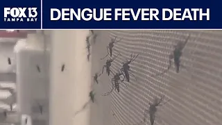 Hillsborough County sees first Dengue Fever death