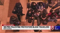 100 Pro-Palestine protesters block travelers