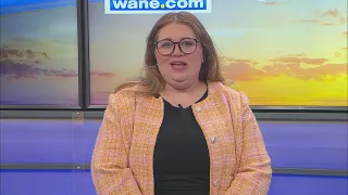 Artlink Bash and Auction WANE 15 First News Sunday