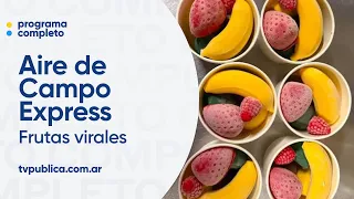 The most viral fruits in the world - Aire De Campo Express