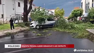 SEPTEMBER 2, 2026 - POLICORO VIOLENT TORNADO: UPROOTED TREES AND DESTROYED BEACHES