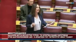 Η ΚΑΛΛΙΟΠΗ ΒΕΤΤΑ ΓΙΑ ΕΔΑΦΗ ΤΗΣ ΔΕΗ - ΤΙ ΑΠΑΝΤΗΣΕ Ο ΥΦΥΠΟΥΡΓΟΣ ΝΙΚΟΣ ΤΣΑΦΟΣ