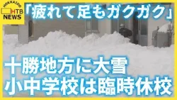 「疲れちゃって足もガクガク」十勝地方に大雪　朝まで続き住民ら雪かきに追われる　小中学校が臨時休校