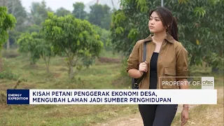 Lahan Belukar Disulap Jadi Sumber Cuan, Ada Kelengkeng & Durian