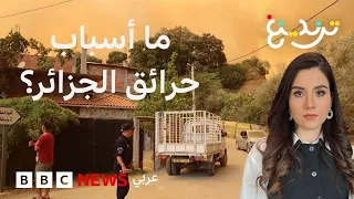 "رانا محاصرين" حرائق الغابات بالجزائر تمتد إلى المنازل