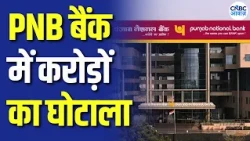 PNB Noida Branch Scam: पंजाब नेशनल बैंक में लगा करोड़ों का झटका | PNB Bank Fraud