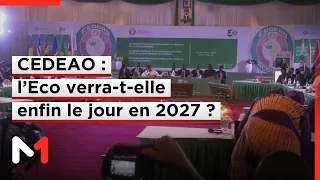 CEDEAO : l’Eco verra-t-elle enfin le jour en 2027 ?