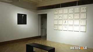 Arte, al Casino dei Principi di Villa Torlonia una retrospettiva su Elisa Montessori