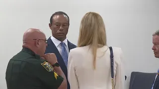 Tiger Woods plea deal includes suspended driver's license for five years