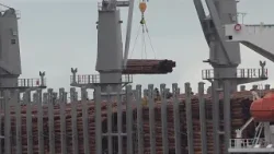 'I don't want a handout, I want a job': Laid-off Island mill workers fight for EI