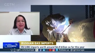 EU buys record amount of Russian gas: "huge increase this semester of Russian LNG imports"