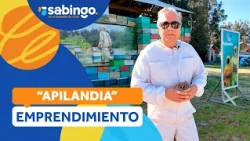 40 YEARS CARING FOR BEES: The story of John Hernández and his venture Apilandia - Sabingo