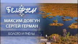 БОЛОТО и ПЧЕЛА тесно связаны друг с другом! Уникальная экосистема Беларуси