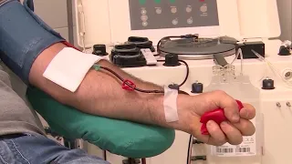 Blood donation appeal from Avis and Giani: "Even in summer, donating is a life-saving gesture"