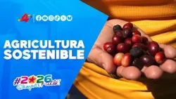 Cooperativa Danilo González: Modelo de agricultura sostenible en Matagalpa ☕