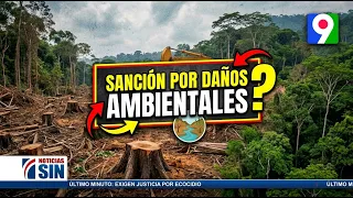 Stricter penalties for environmental damage | SIN First Edition