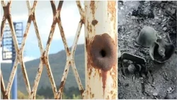 Domovina ljiljana o pobjedi dok "11 plavih" i borbama za Trg heroja