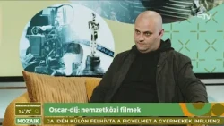 Oscar-díj: nemzetközi filmek – Mozaik