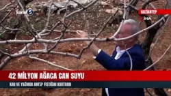 42 Milyon Ağaca Can Suyu | Kar Ve Yağmur Antep Fıstığını Kurtardı