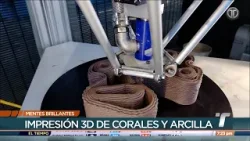 Mentes Brillantes: María De Los Ángeles Ortega, ingeniera destacada