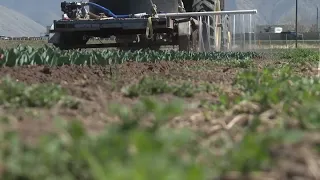 In this century, Utah has more farms and less farm land