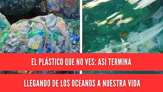 The plastic you don't see: how it ends up from the oceans in our lives