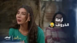 أزمة الخروف مع أفروديت ? | #بنت_النعمان أزمة الخروف مع أفروديت ? | #بنت_النعمان