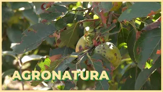 2026/09/11 - 🌿 AGRONATURA | El camp, el medi ambient i la natura, protagonistes