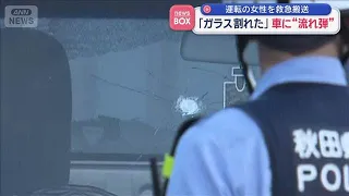 "Glass Shattered": Possible Stray Hunting Rifle Bullet Hits Driver; Woman Hospitalized, Monkey Sp...