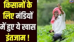 Palwal News: 1 अप्रैल से पहले ही हरियाणा की मंडियों में पहुंचा गेहूं, किसानों में खराब मौसम का डर