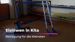 Eislöwen in Dresdner Kita | Sachsen Fernsehen