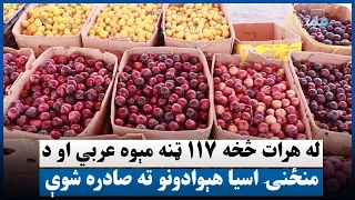 له هرات څخه ۱۱۷ ټنه مېوه عربي او د منځنۍ اسیا هېوادونو ته صادره شوې