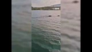 Malatya’da Görenleri Şaşırtan Görüntü!