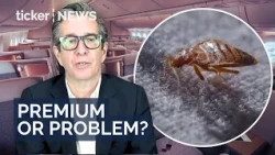 “Are they premium?”: Can Qantas restore trust after the bed bug reports?