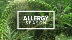 What you  need to know to survive allergy season | Healthwatch 16