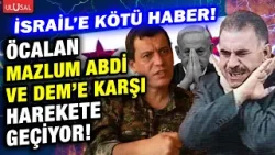 Mazlum Abdi ve DEM Parti şokta! Öcalan kolları sıvadı...