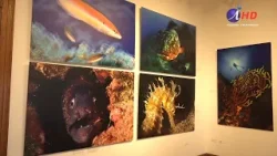 Imperdible panorama: expo “Mar de Campeones” (11.02.2026) Imperdible panorama: expo “Mar de Campeones” (11.02.2026)