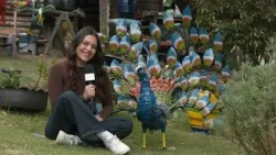 #EnlaceTrece | De llantas a arte: la historia de Carlos, el reciclador creativo de Sesquilé #EnlaceTrece | De llantas a arte: la historia de Carlos, el reciclador creativo de Sesquilé