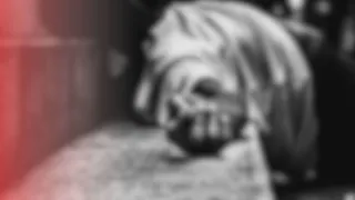 Agricultor de 43 años muere tras recibir cinco disparos en General Artigas